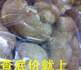 一德路海味干貨批發(fā) 優(yōu)質(zhì)中等規(guī)格干猴頭菇，足干色好，海味市場好貨供應(yīng)