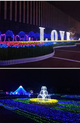 點亮夢幻世界 動植物花燈光節的魅力與彩燈制造的藝術